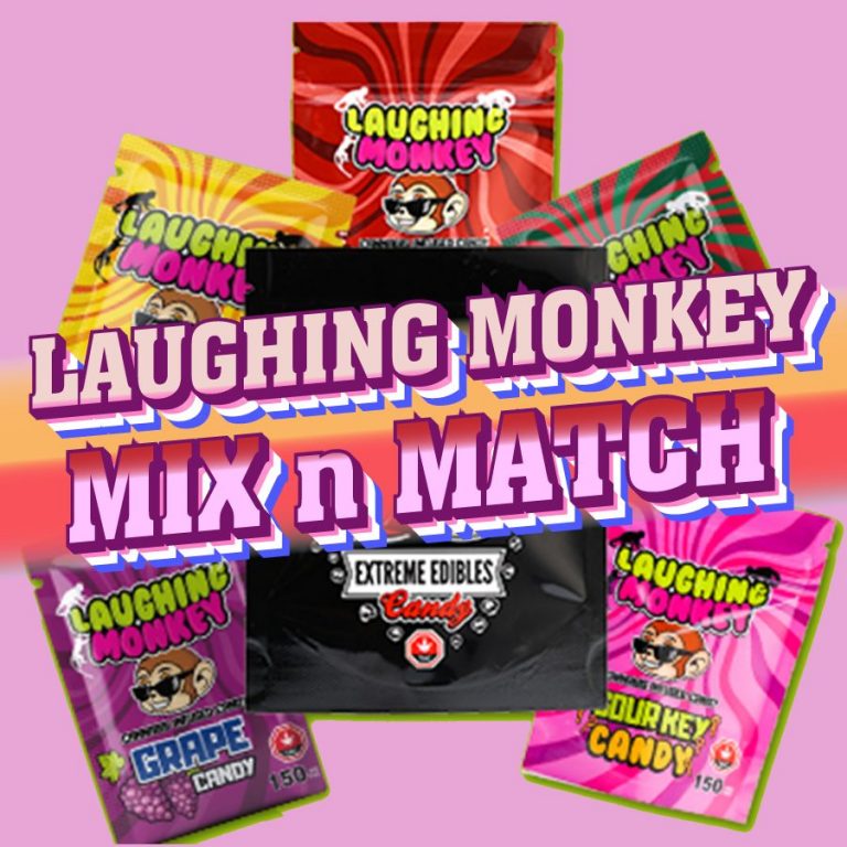 laughing monkey toy smyths